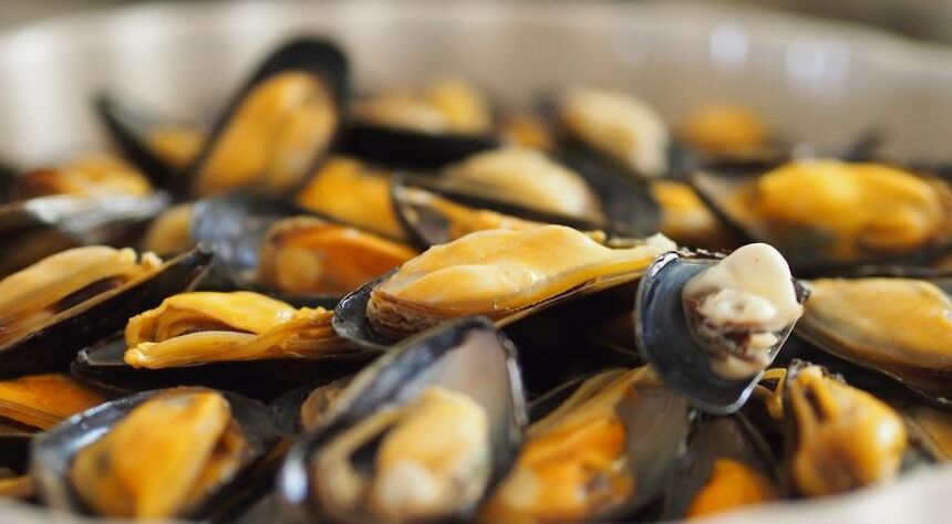 mussels sa isang protina diyeta